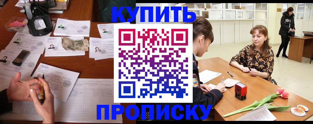 купить прописку в Звенигово